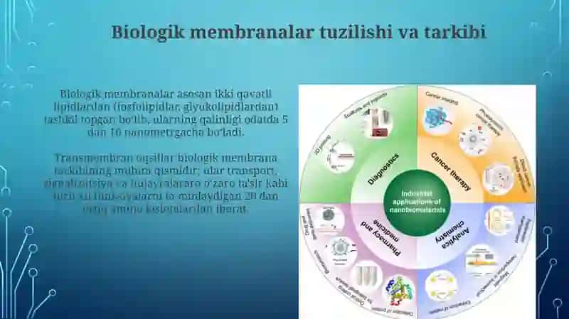 Biologik membranalardan nanobiotexnologiyada foydalanish 3