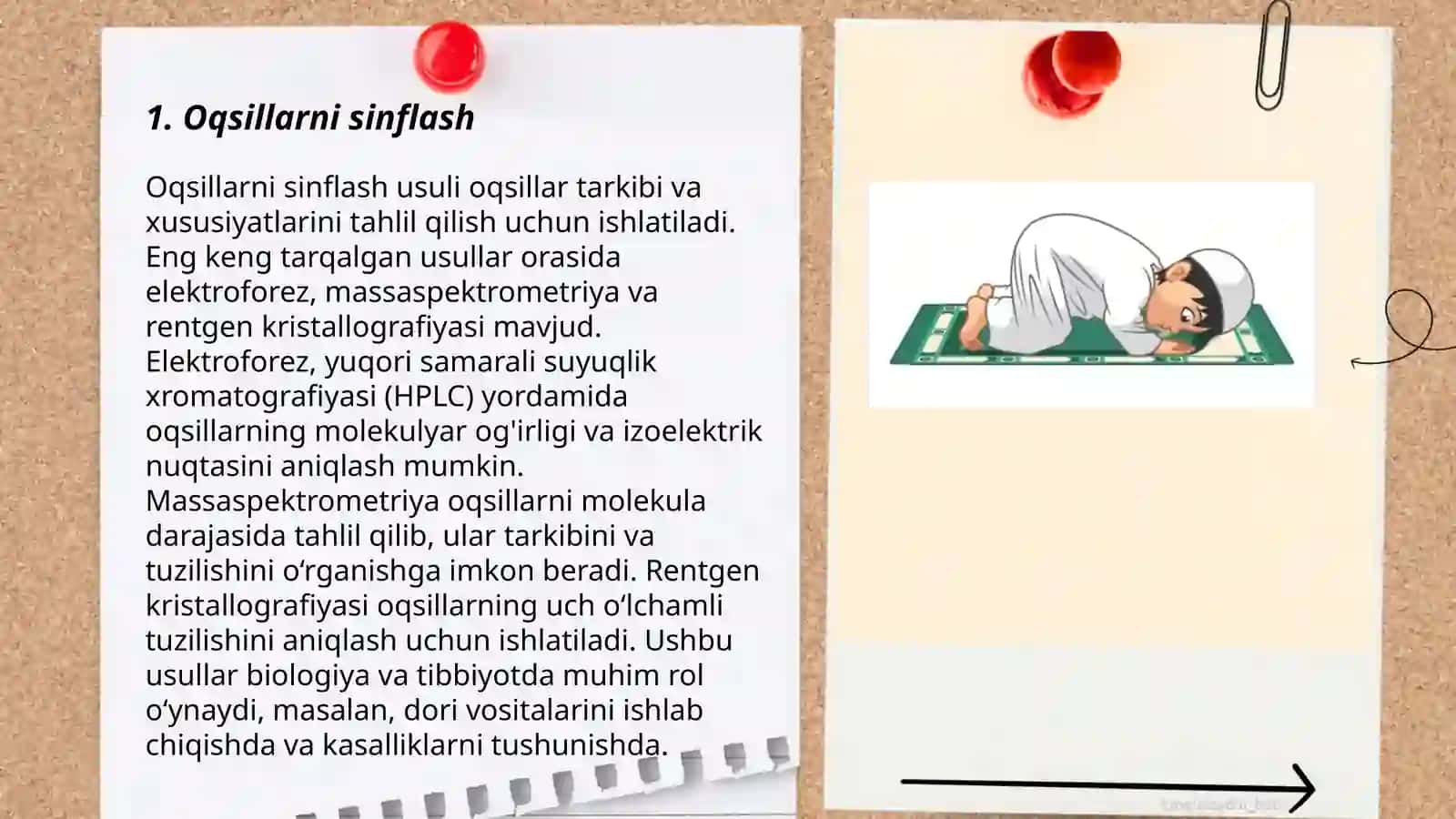 Oqsillarni sinflash 3