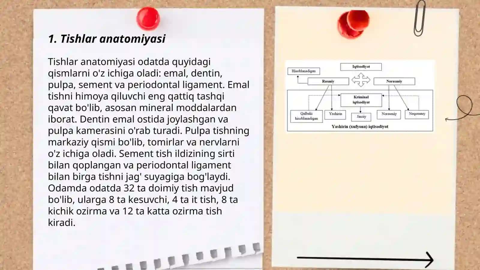 Og'iz bo'shlig'i 3