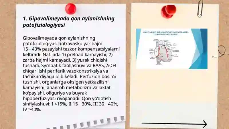 Gipovalimeyada qon aylanishning patofiziologiyasi 3