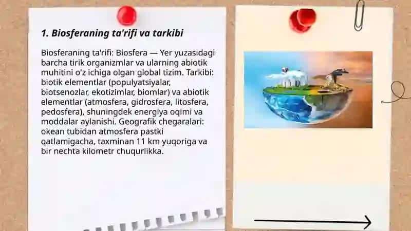 Biosferva va uning muammolari 3