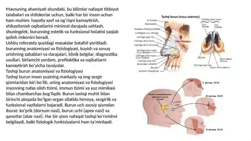 Tashqi burun kuyishi va sovuq harorat ta’sirida shikastlanish va birlamchi yordam. 3