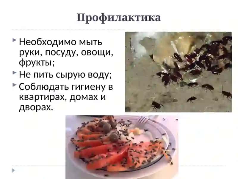 Заболевания органов пищеварительной системы 3