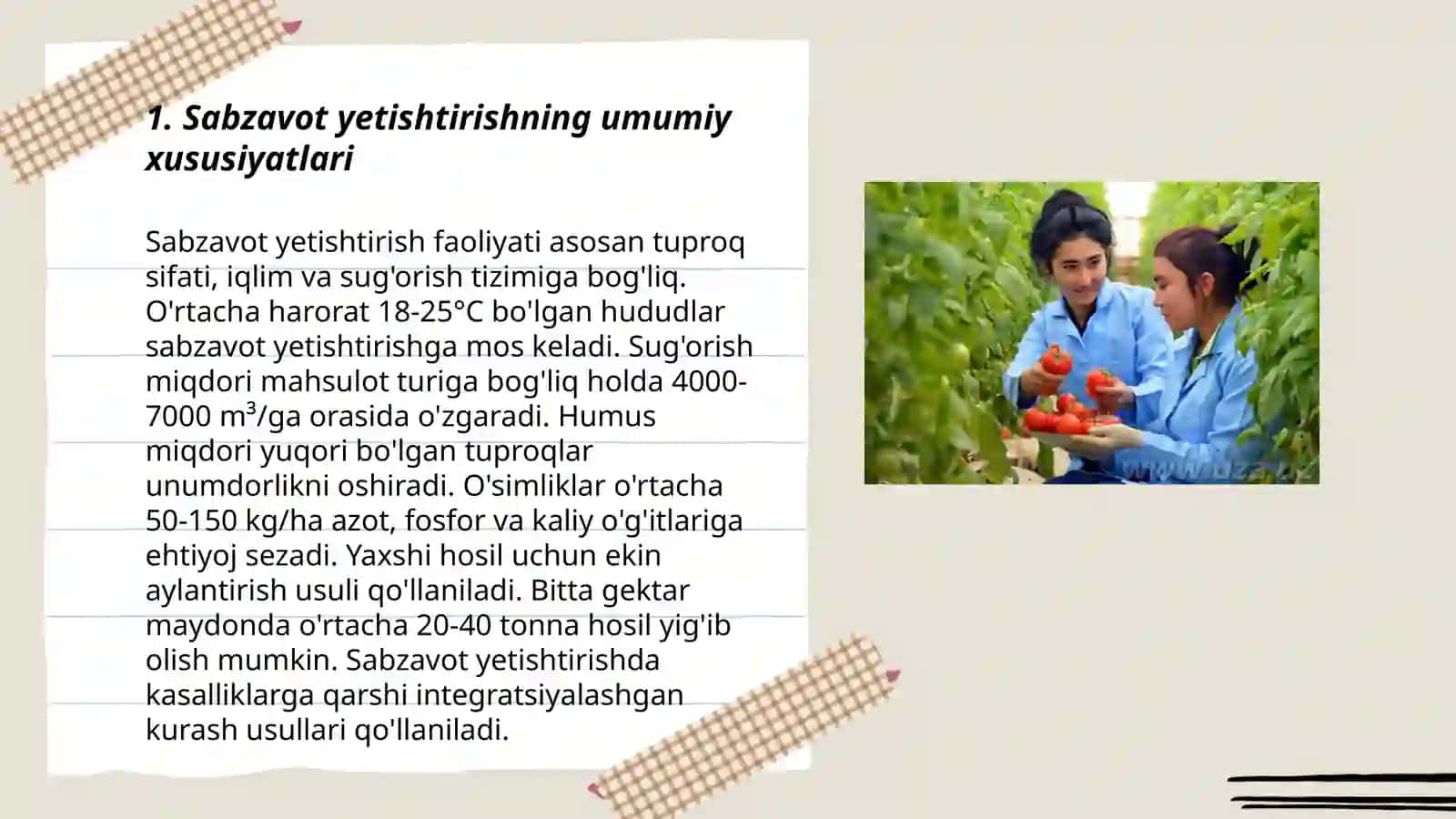 Kam tarqalgan sabzavot turlari, ularni yetishtirish texnologiyasi 3