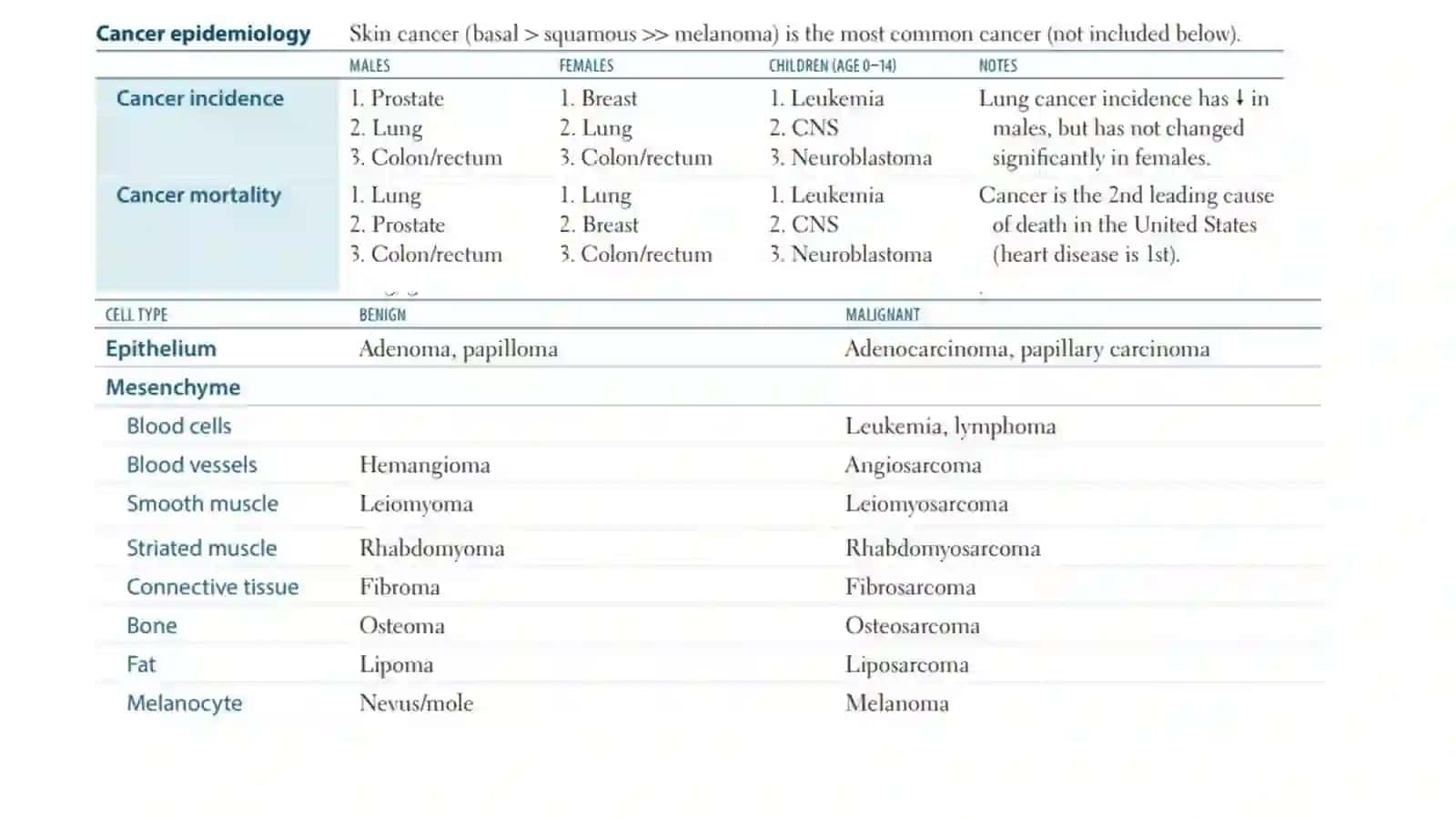 NEOPLAZIYA 3