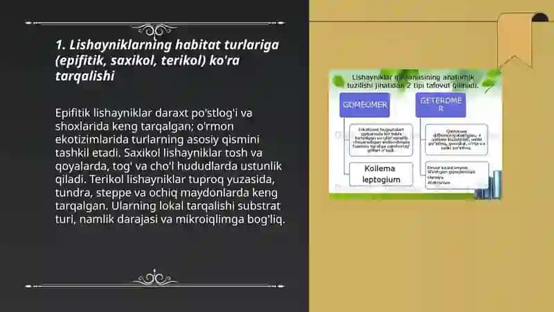 Lishayniklarning tabiatda tarqalishi va ahamiyati 3
