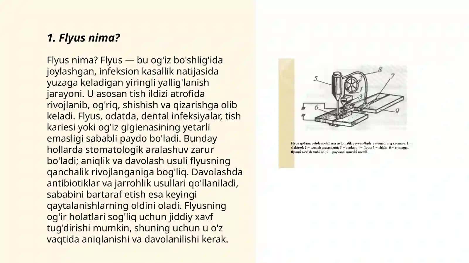 Flyus va uning ishlatilish vazifasi 3