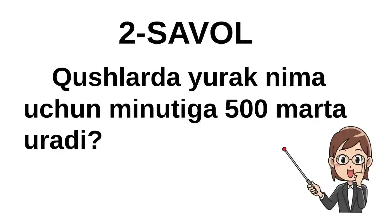 HAYVONLARNINGHAZM QILISH ORGANLARIEVOLUTSIYASI 3