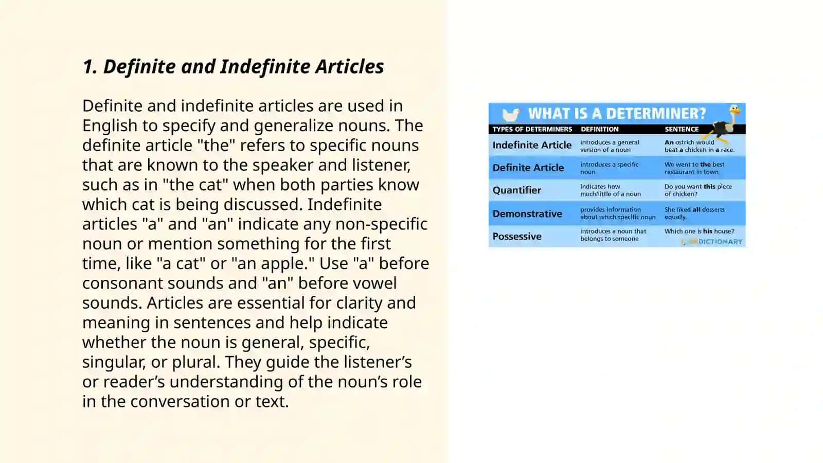Articles and Determiners 3