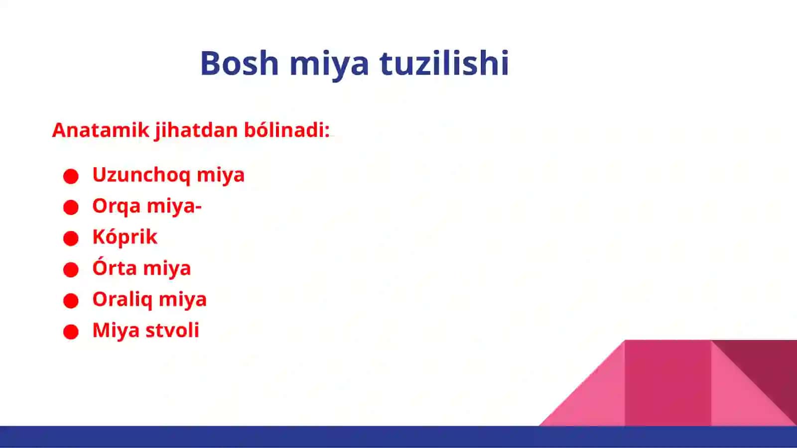 Nerv tizimi. Bosh miya. Miya stvoli va miyacha 3