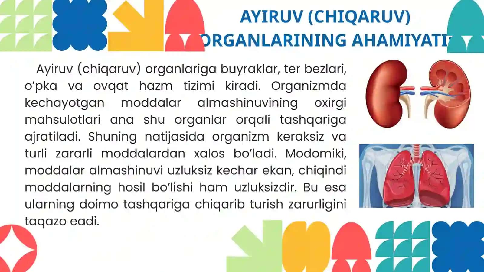 Ayiruv tizimi fiziologiyasi 3