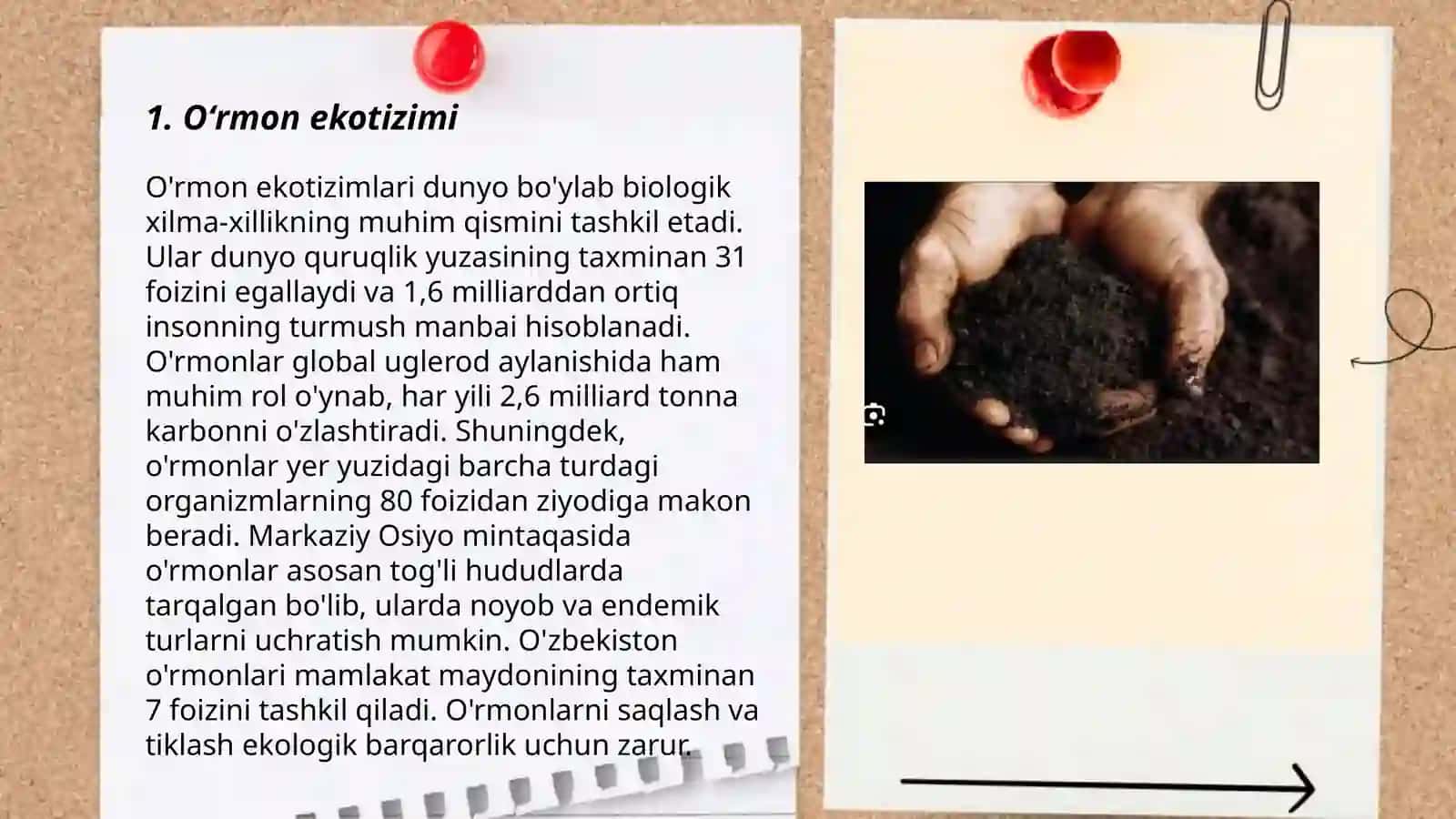 O'rmon va o'rmon dasht tuproqlari 3
