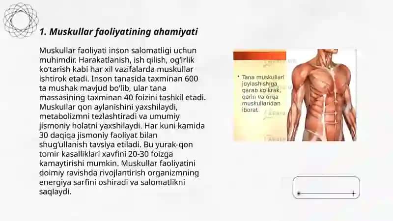 Muskullar faoliyati va bolalarning jismoniy imkoniyatlari 3