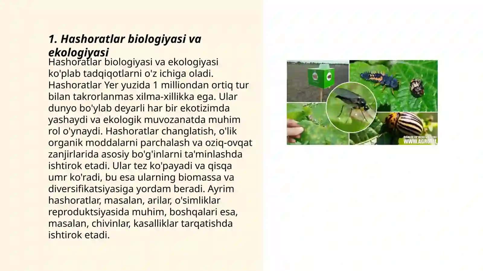 Hashoratlarning tibbiyotdagi ahamiyati 3