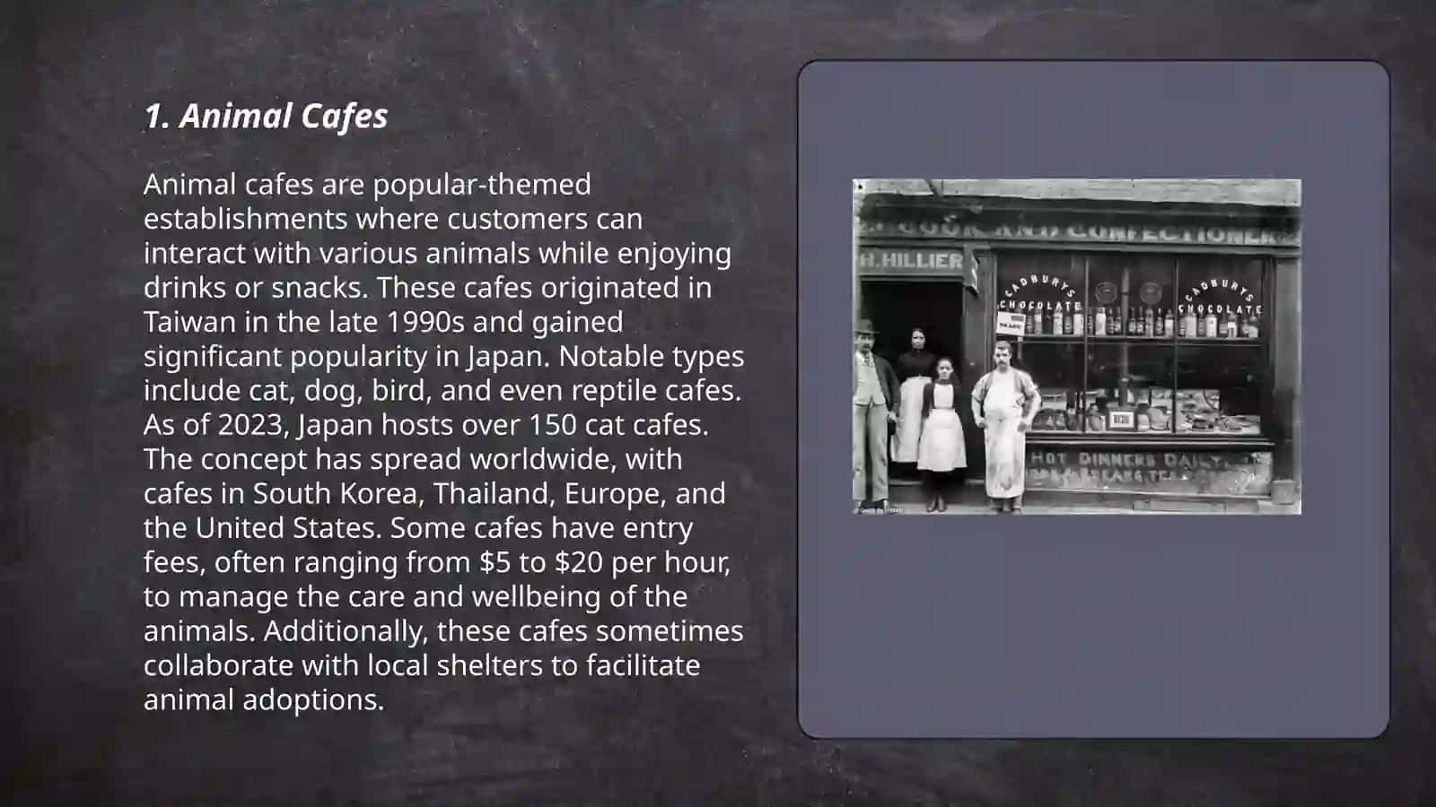 Animal Cafes 3