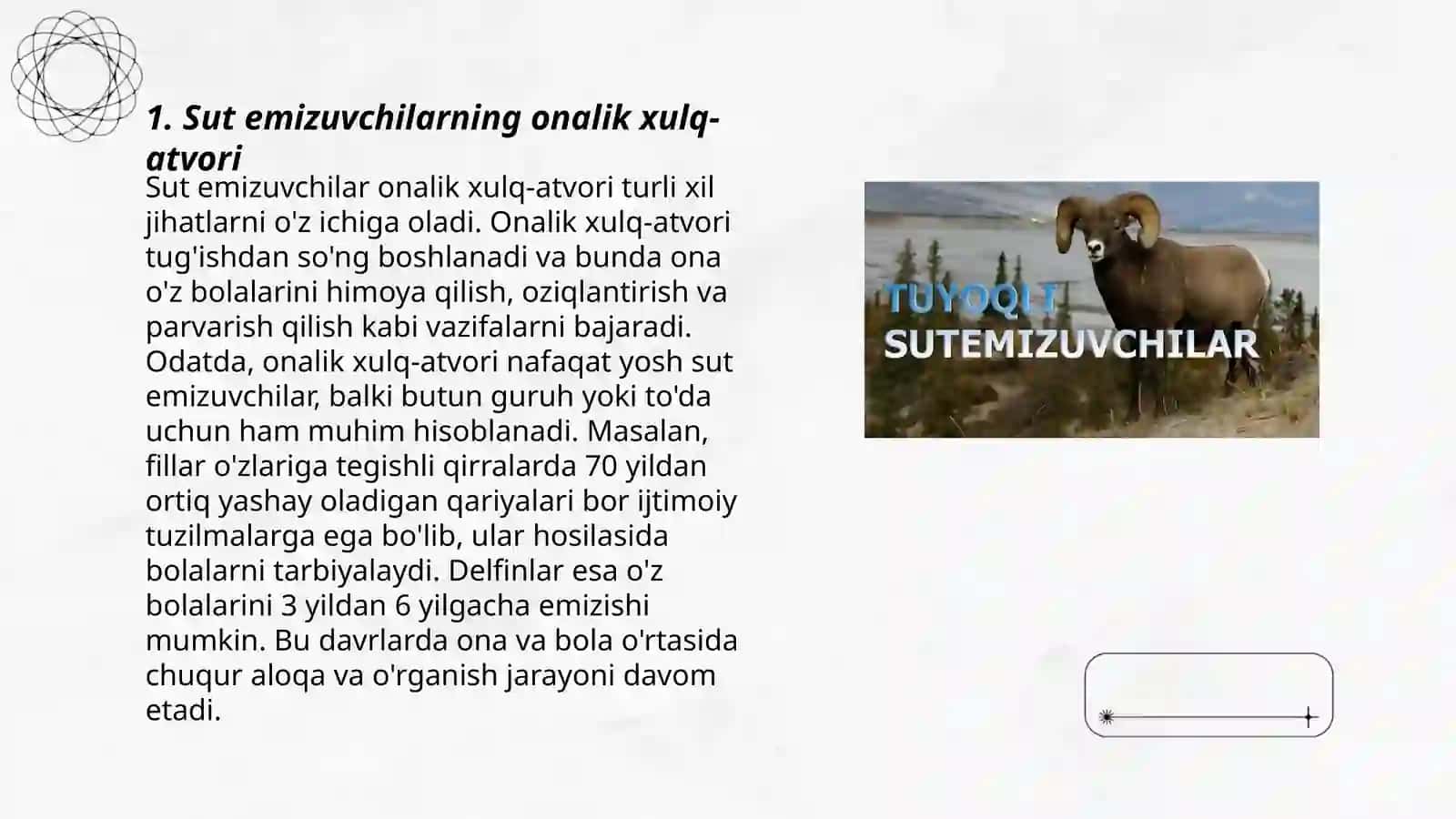 Sut emizuvchilarning individual rivojlanishi 3