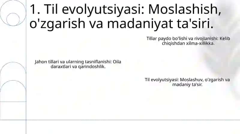 Jahon Tillari va ularning Tasniflash 3