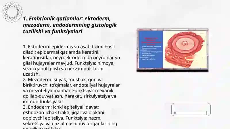 Odam ebriologiyasi asoslari(gistalogik tuzulishi va ahamiyati) 3