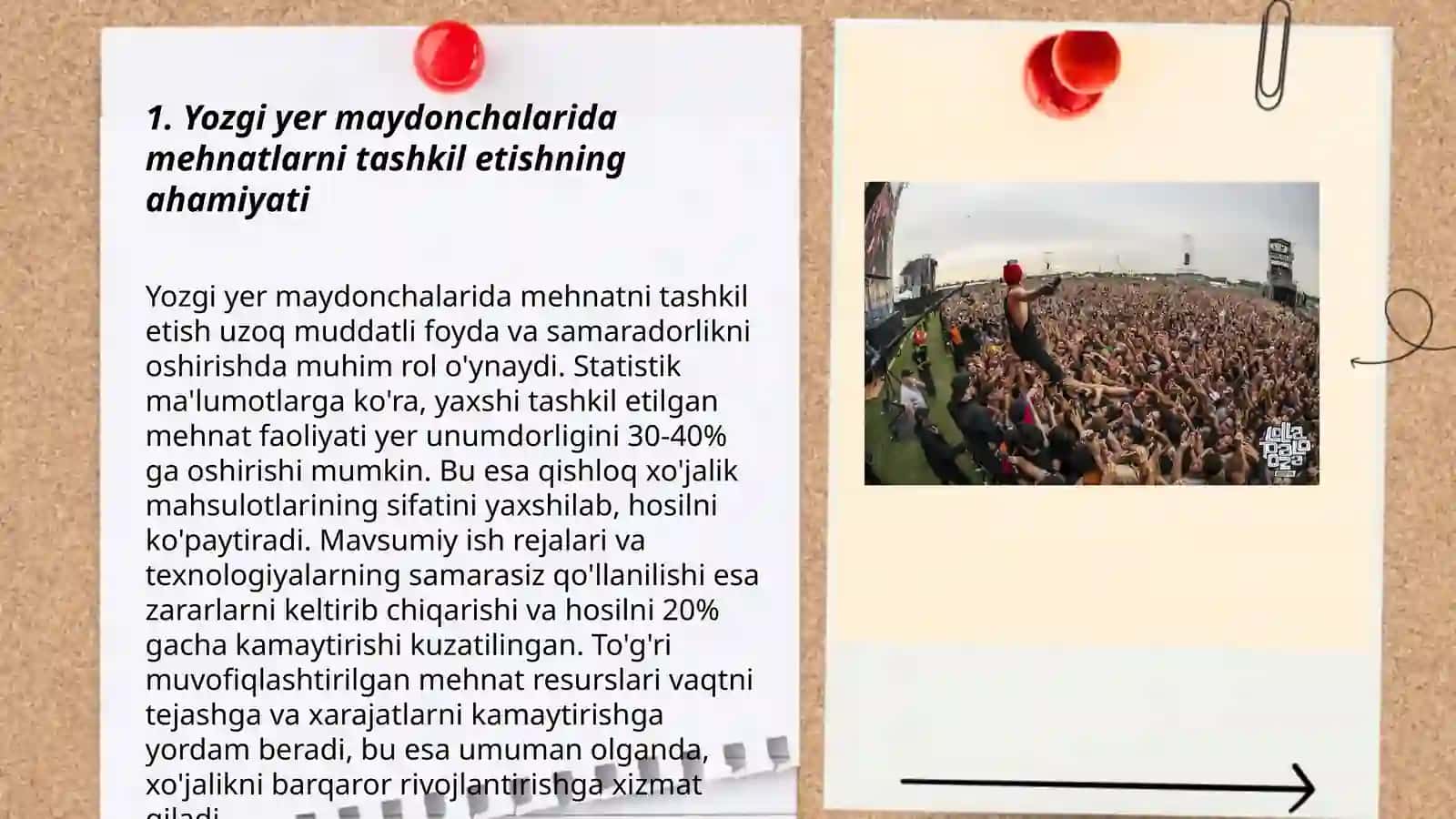 Yozgi yer maydonchalarida mehnatlarni tashkil etish mazmuni 3