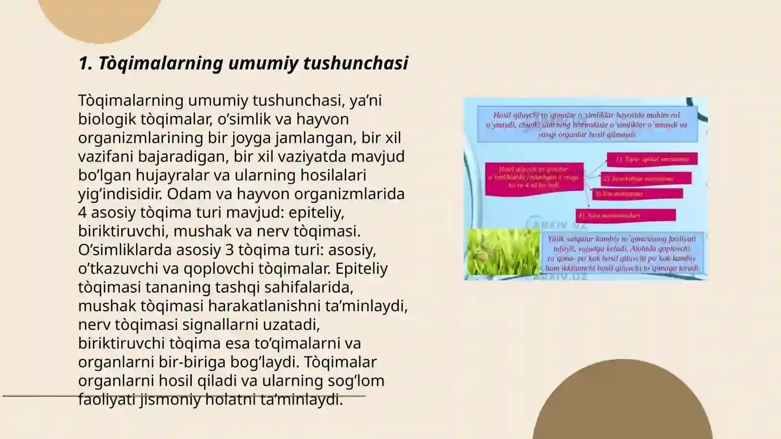Tòqimalar haqida umumiy tushuncha va ularning tasnifi 3