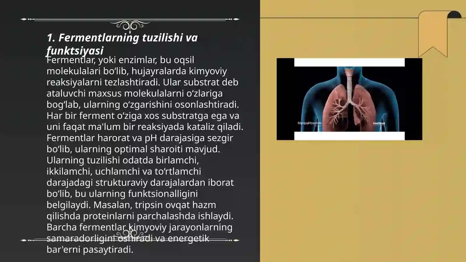 Odam organizmida fermentativ jarayonlarning mehanizmi 3