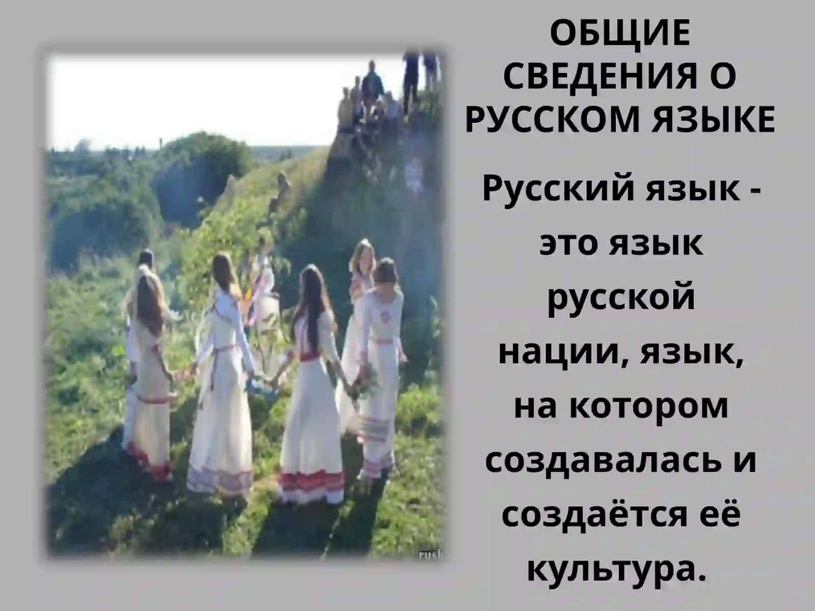 Русский язык – язык науки, техники, культуры 3