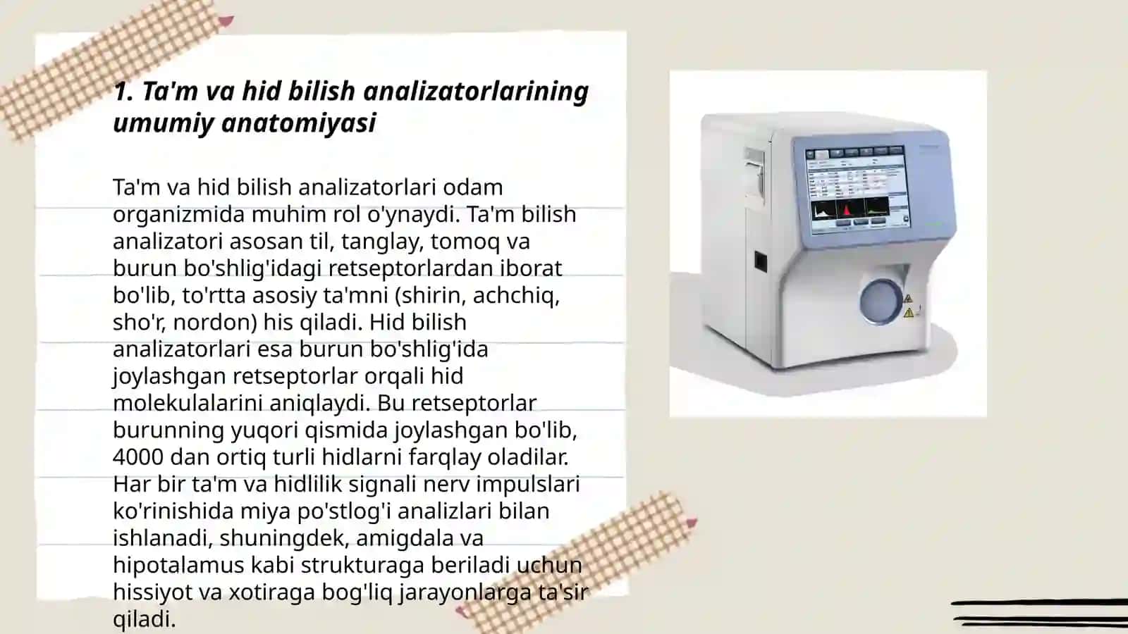 Ta'm va hid bilish analizatorlarning funksional anatomiyasi 3