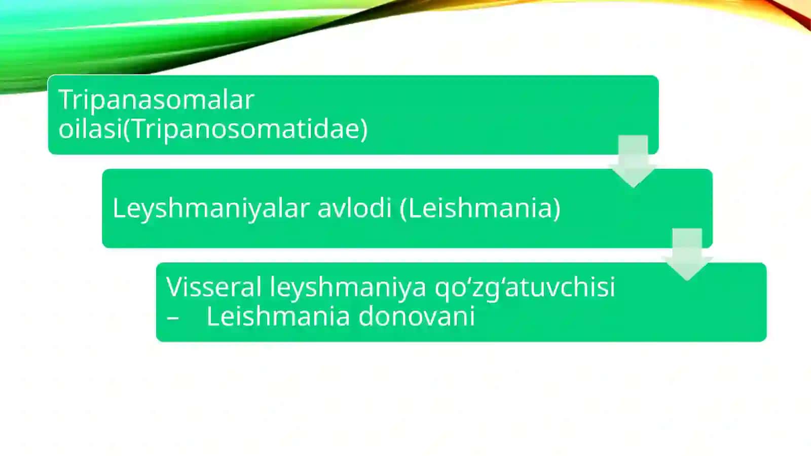 Xivchinlilar. Leyshmaniya, teri leyshmanioz qo‘zg‘atuvchisi. Tripanosoma, tripanosomoz qo‘zg‘atuvchisi. Xivchinlilar. Trixomanada. Qin trixomanadasi. Lyabliya. Kipriklilar. Ichak balantidiasi, balantidioz qo‘zg‘atuvchisi 3
