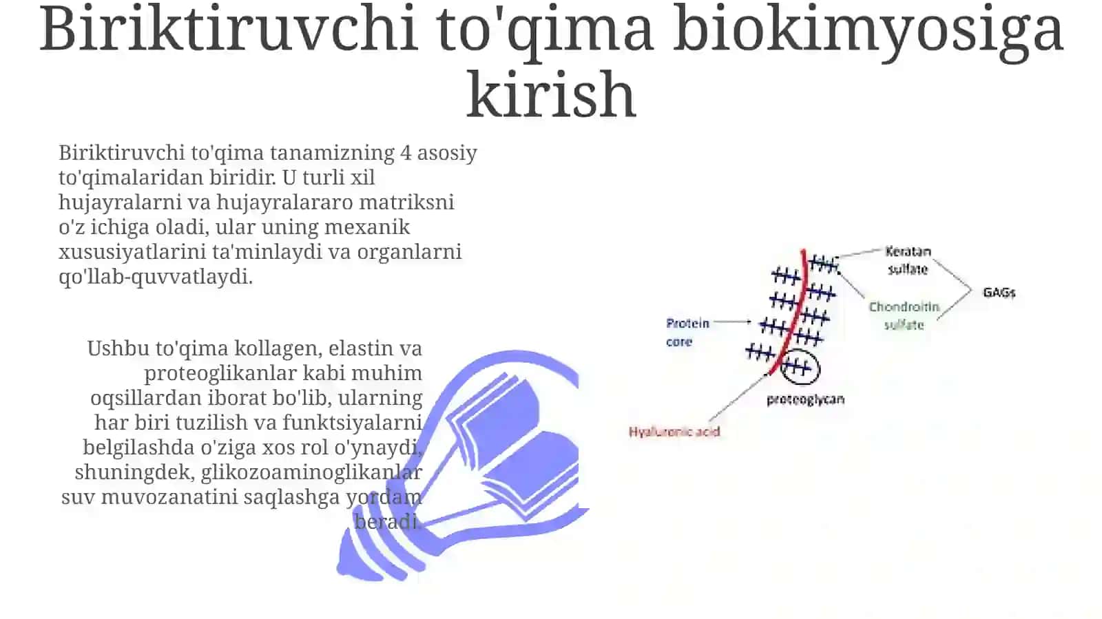Biriktiruvchi toqima biokimiyosi 3