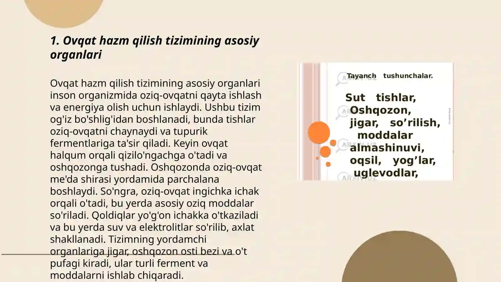 Ovqat hazm qilish tizimining yoah xususiyatlari va ovqatlanish gigiyenasi 3