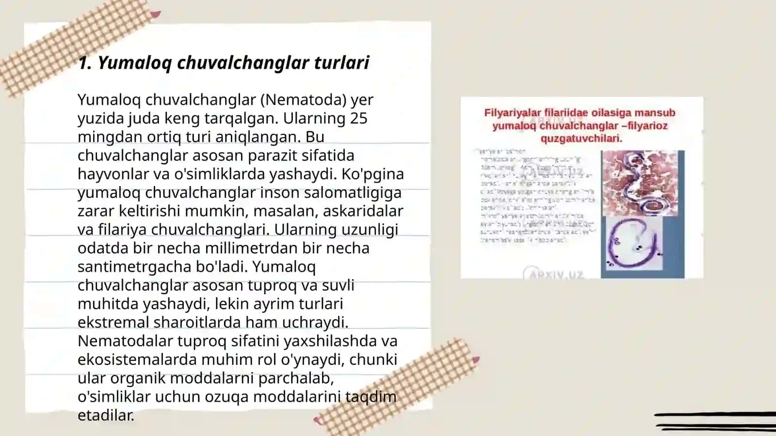 Yumaloq chuvalchanglar odam parazitlari 3