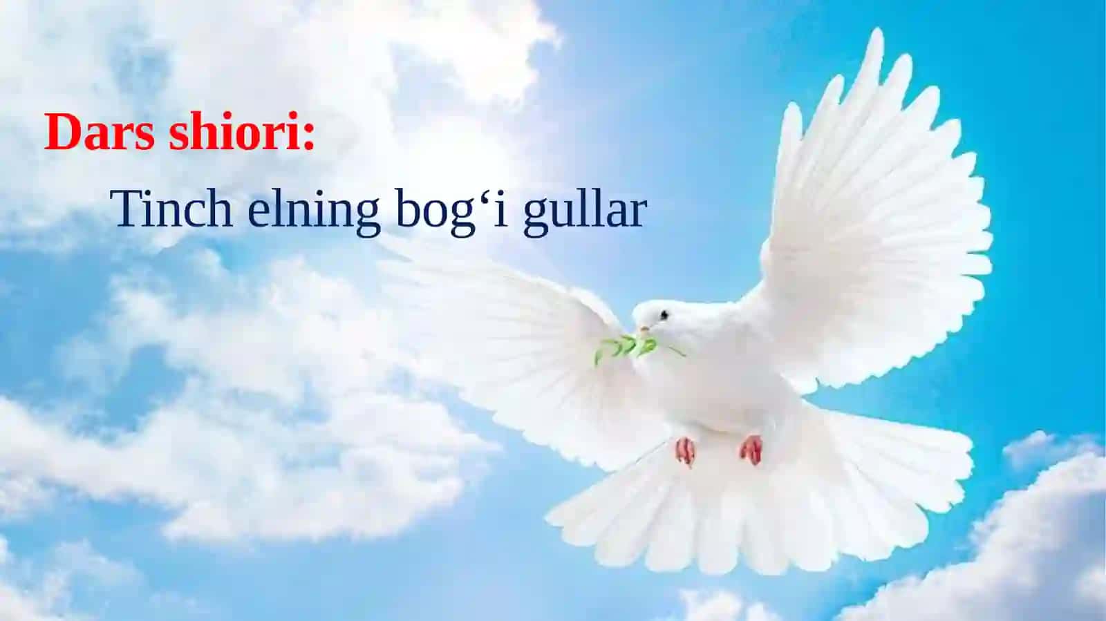 Shukur Sa'dulla she'rlari 3