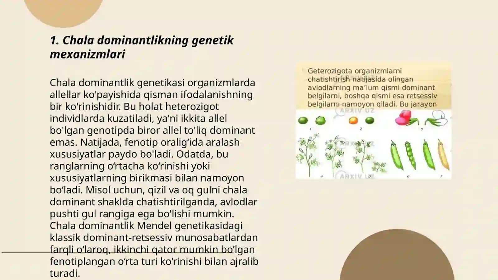 Chala dominantlik genetikasi 3