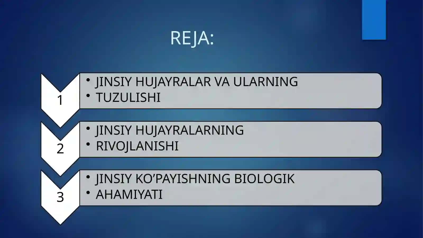 ODAM ANOTOMIYASI VA FIZIOLOGIYASI 3
