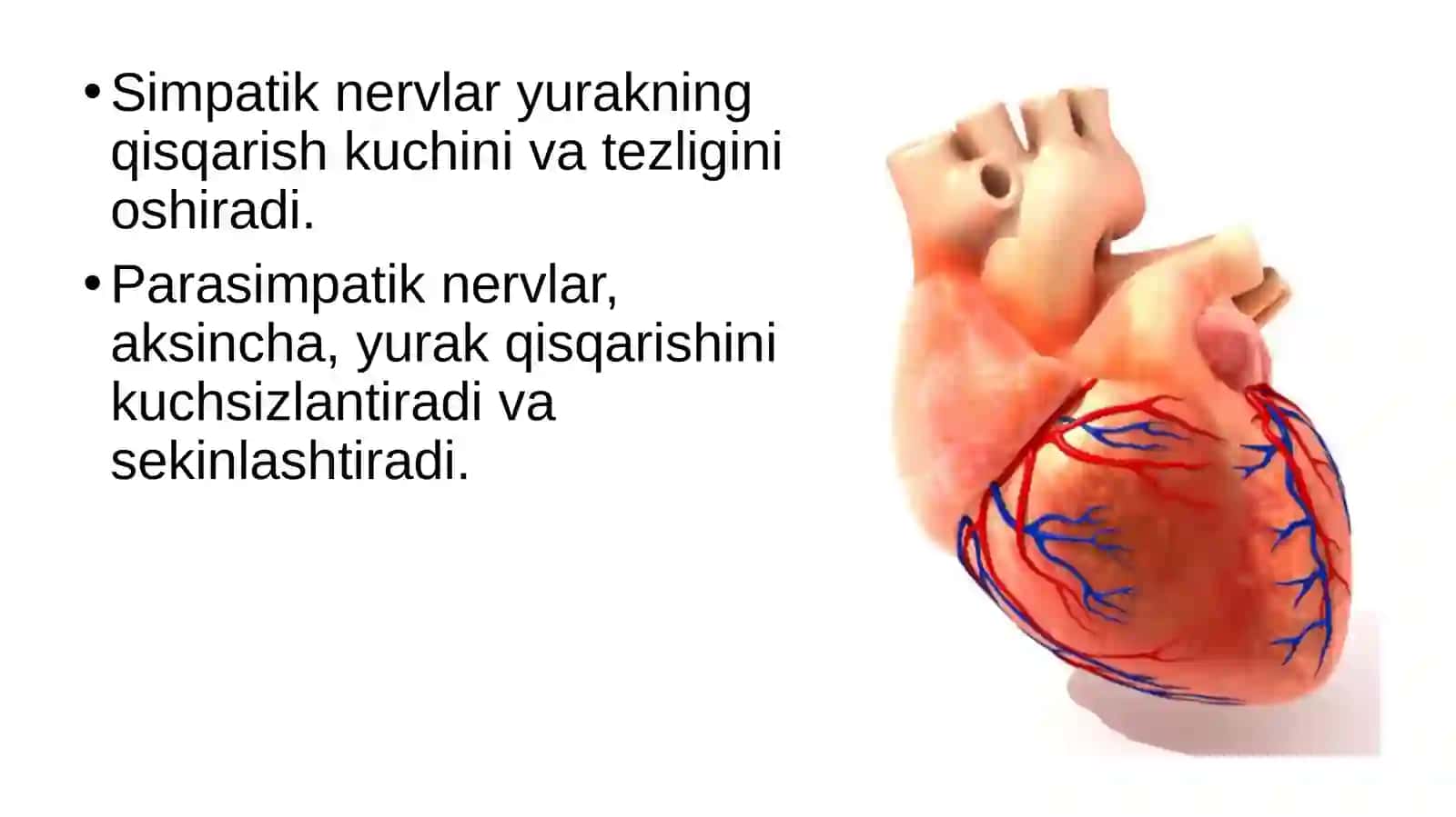 Qonaylanish organlari ishining boshqarilishi 3