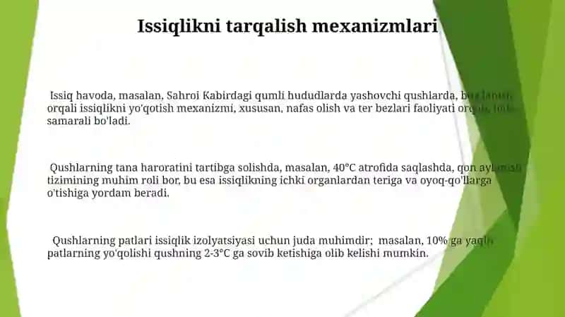 Qushlarning nafas olishi va termoregulyatsiya 3