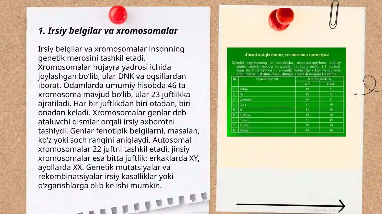 Irsiyatning xromosomiya nazariyasi 3