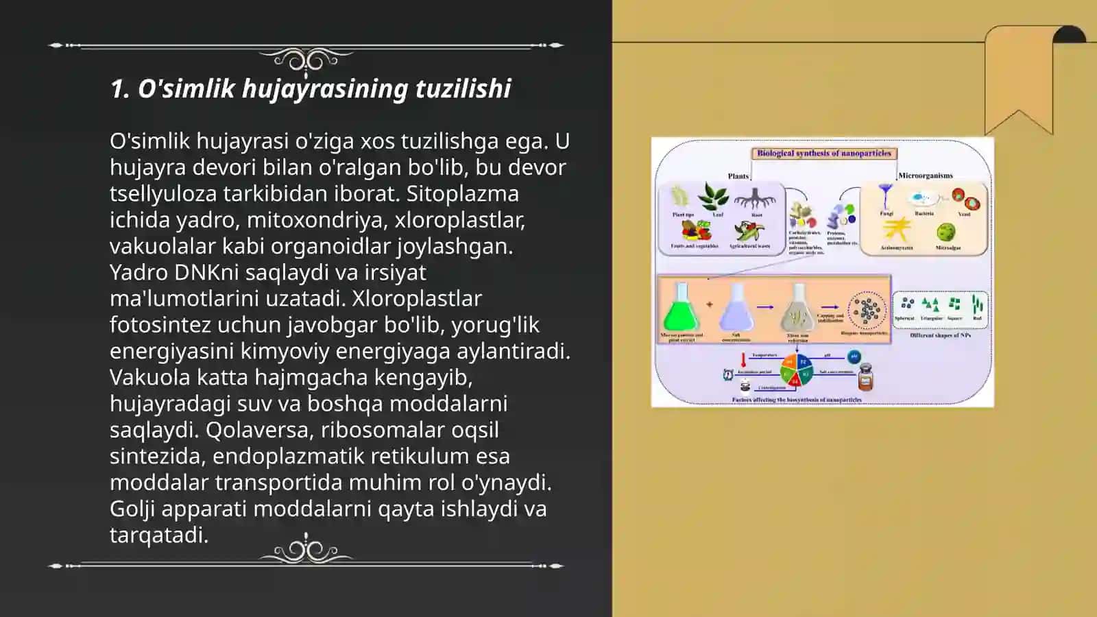 O'simliklar hujayrasi va kimyoviy zahira moddalari 3
