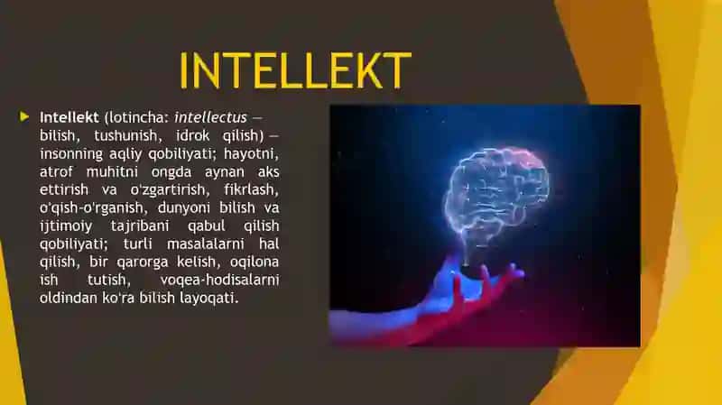 Jamoaviy intellektni shakllantirish 3