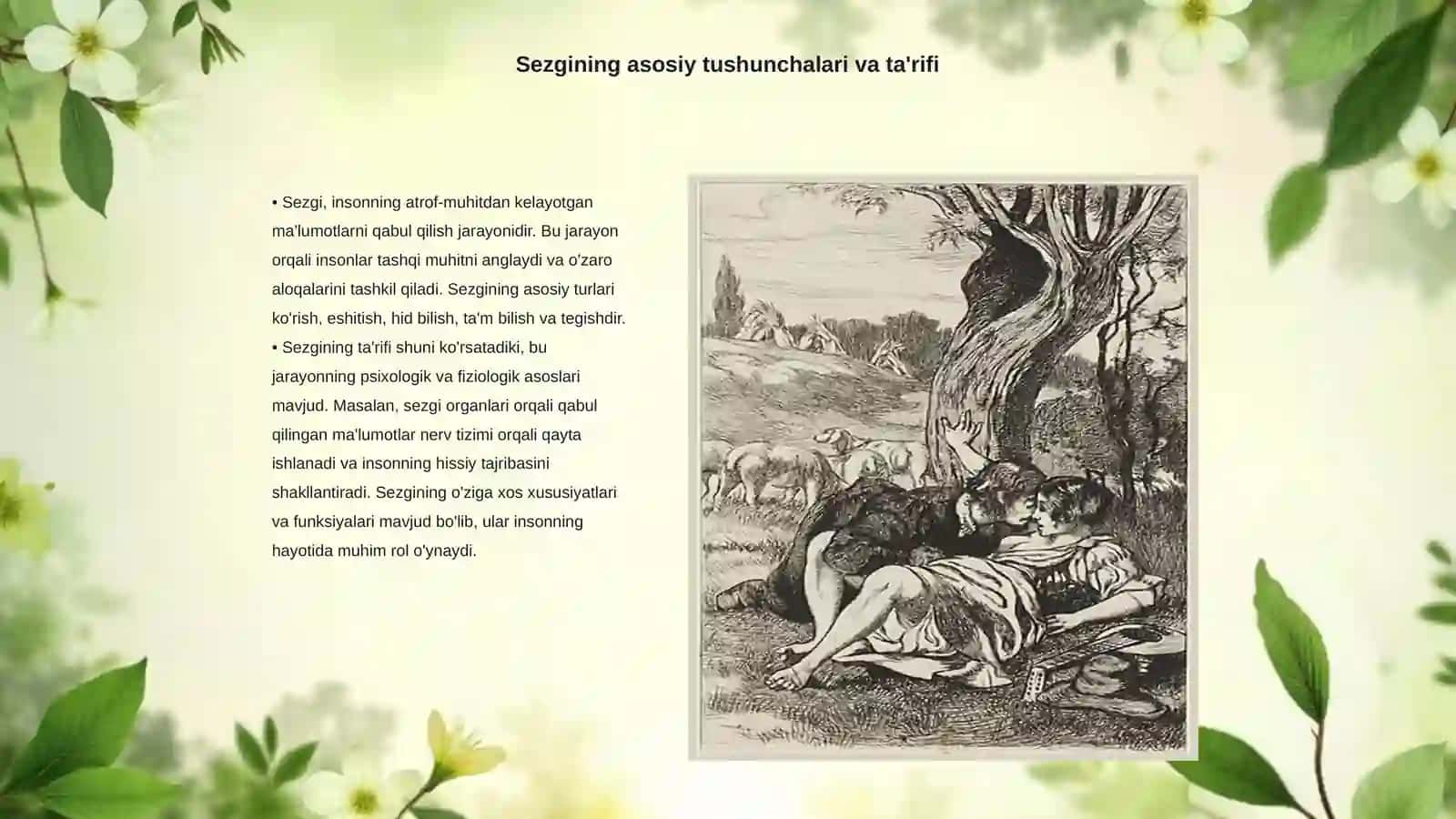 Sezgining fiziologik mexanizmlari 3