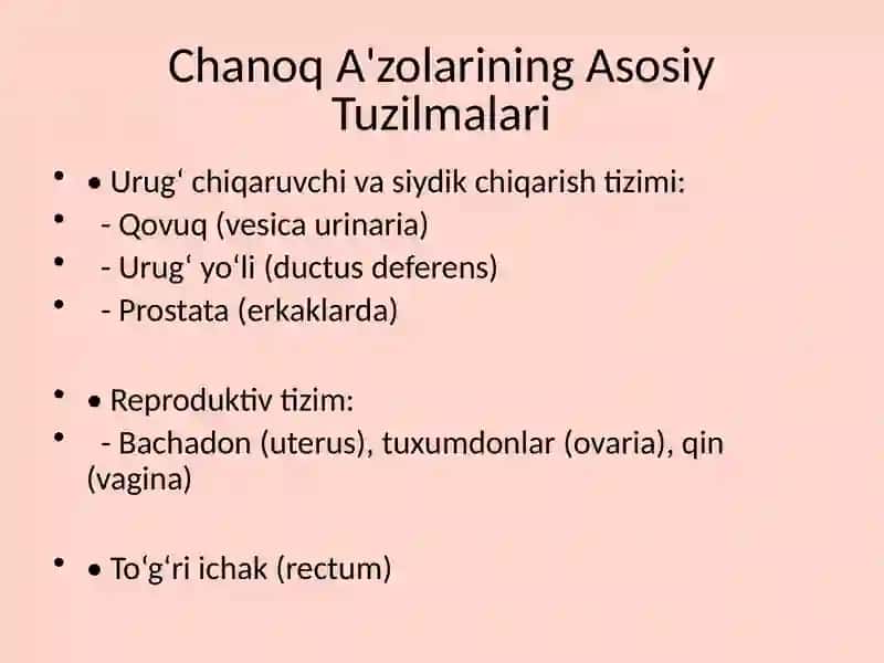 Chanoq A'zolari Innervatsiyasi va Kasalliklari 3