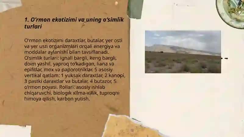 Oʻrmon, dasht, subtropik va tropik zona oʻsimliklari bilan tanishish 3