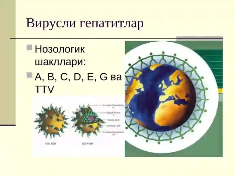 Вирусли гепатитлар 3