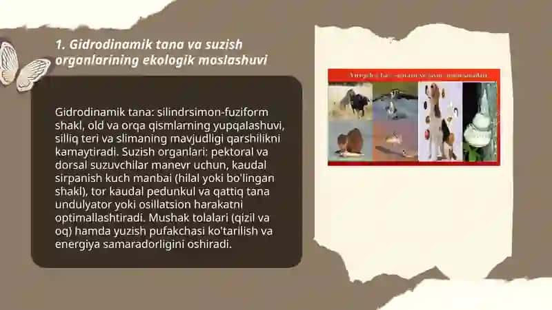 Hayvonlarning suv muhitiga ekologik moslanishlari 3