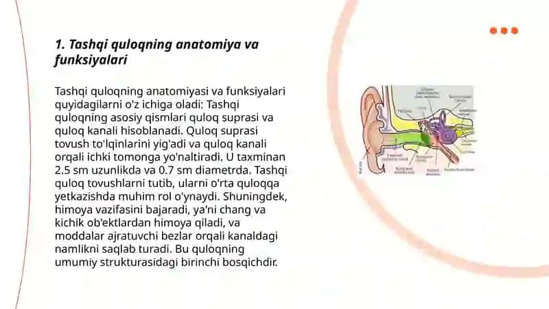 Tashqi quloq faoliyati 3