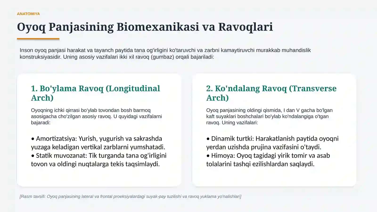 Oyoq panjasi statik deformatsiyalari | 15 slaydli tibbiy taqdimot 3