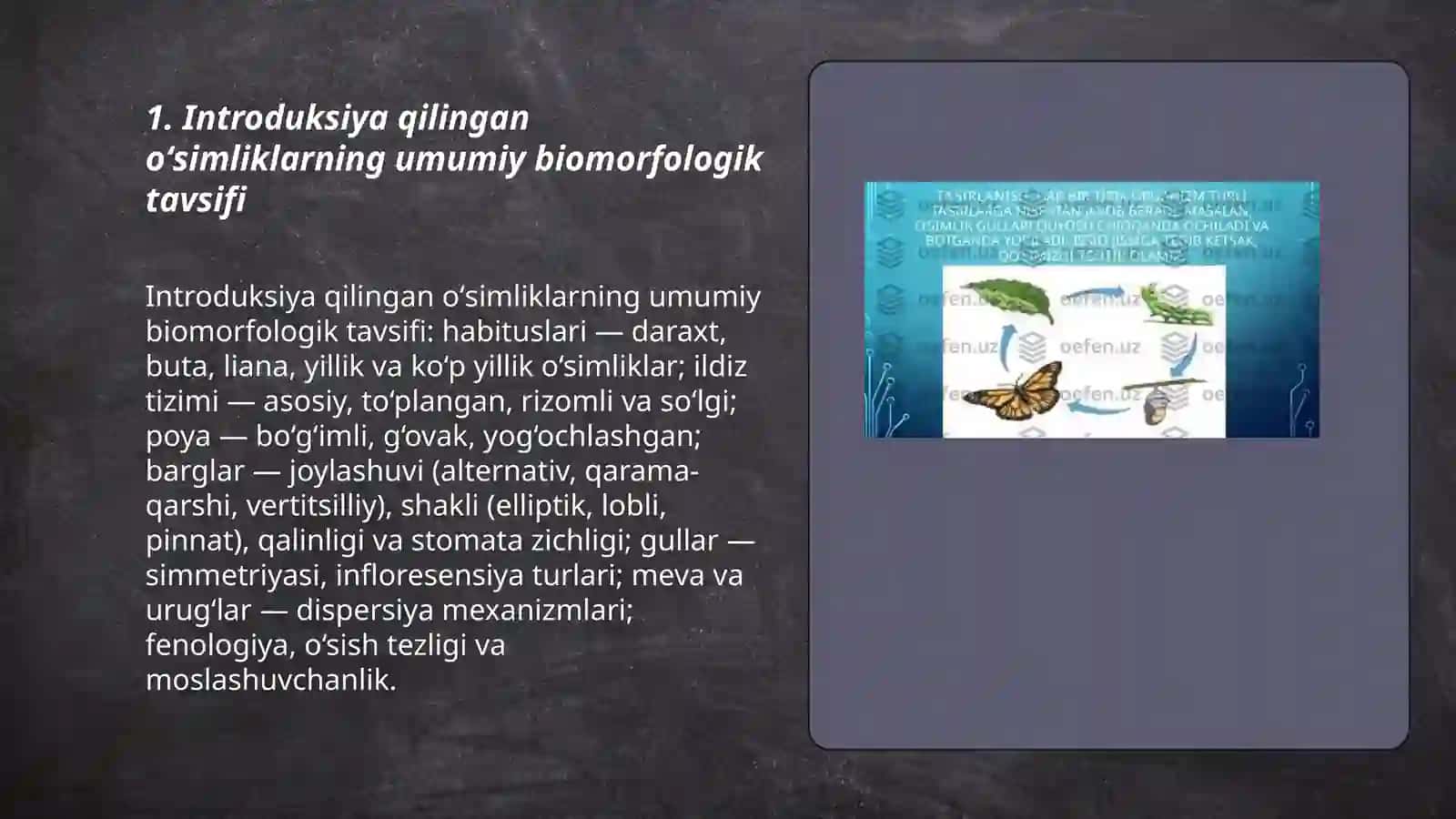 Introduksiya qilingan oʻsimliklarning biomorfologik xususiyatlari 3