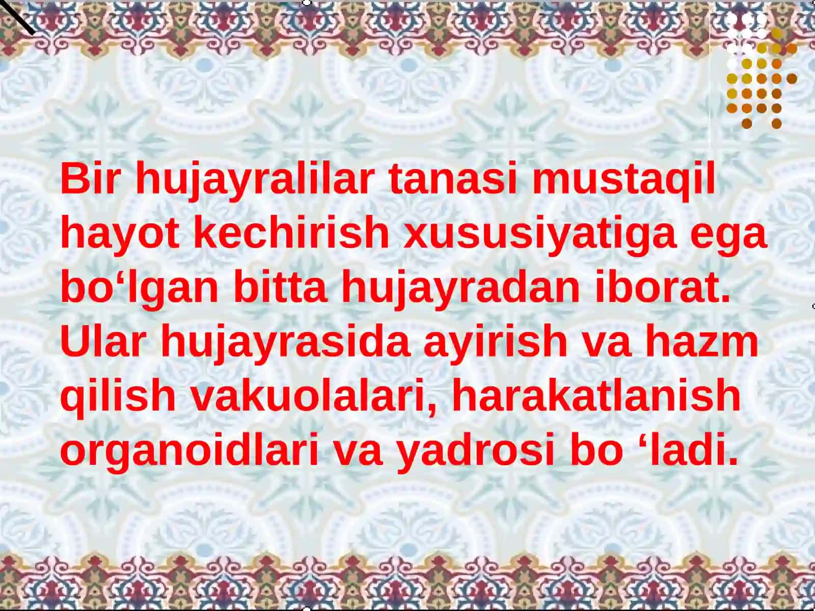 BIRHUJAYRALILAR, YA’NI SODDAHAYVONLAR 3