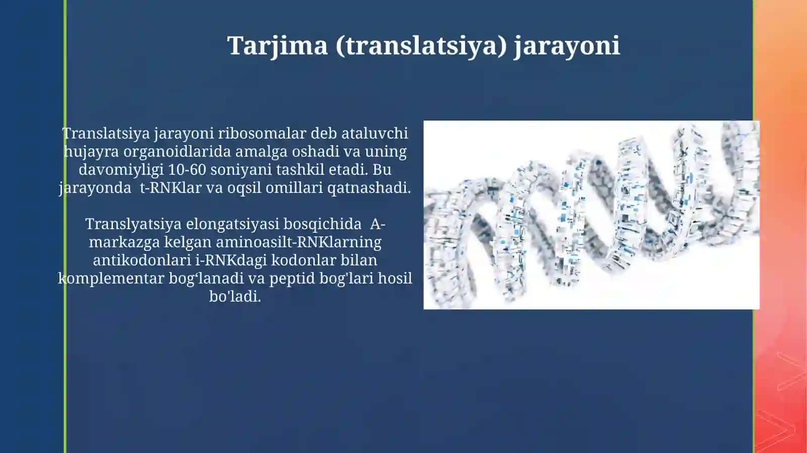 Hujayrada transkripsiya, translyatsiya va replikatsiya jarayonlari 3
