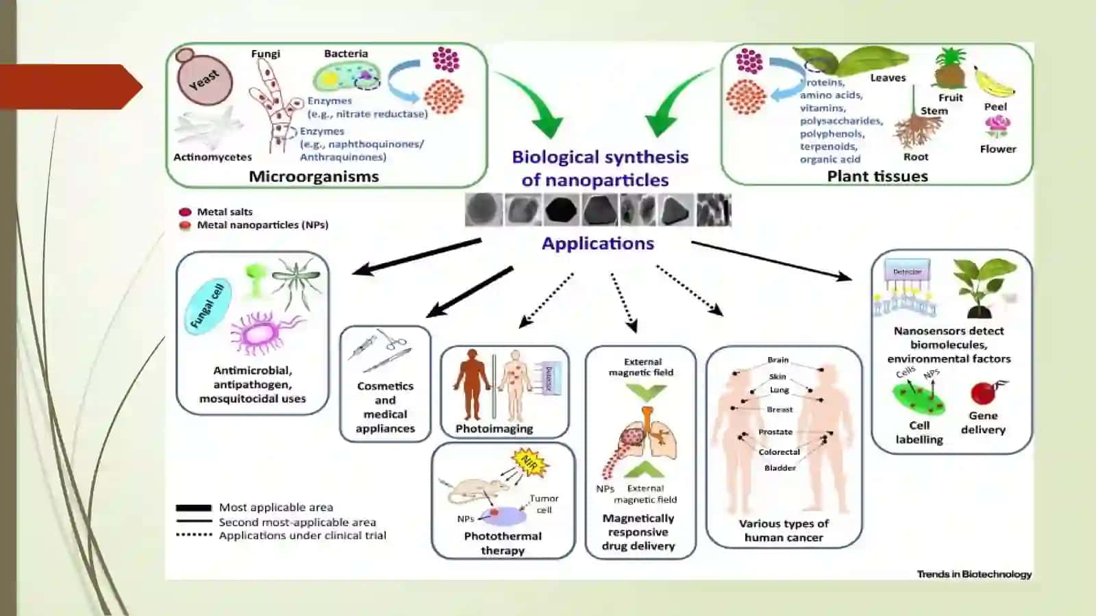 Nanotibbiyot 3